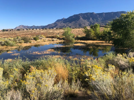 Photo of Albuquerque, 4th of July Canyon