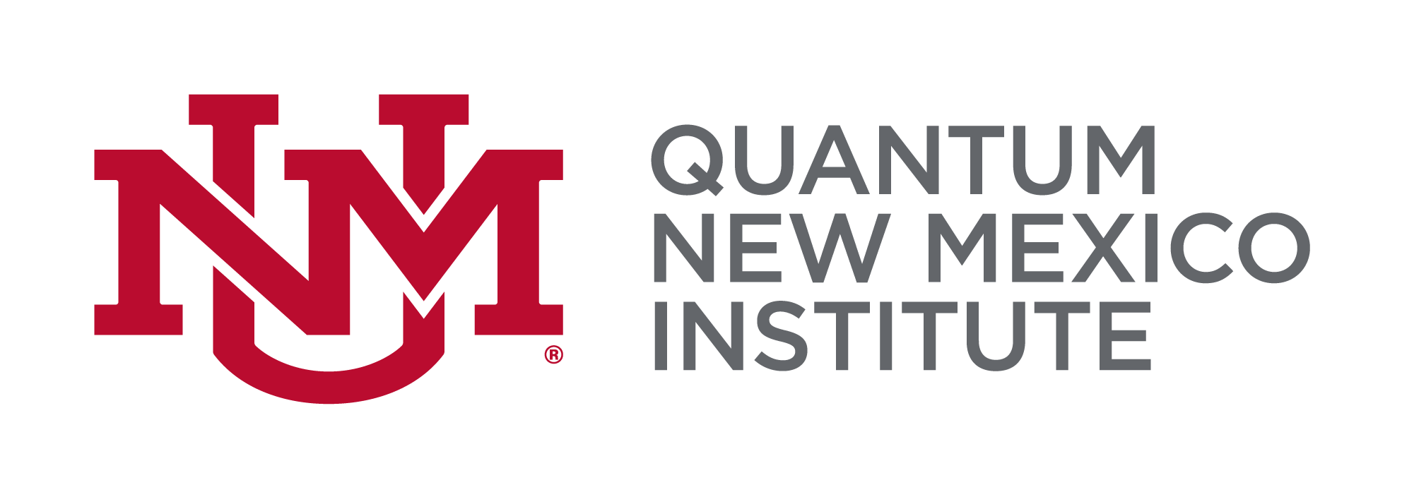 QNM-I Logo