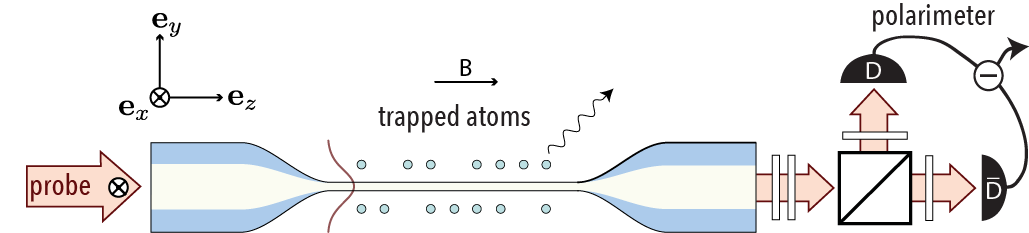 Diagram of nanofiber schematic